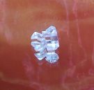 Lichtleiter Triebkopf für Stirnbeleuchtung